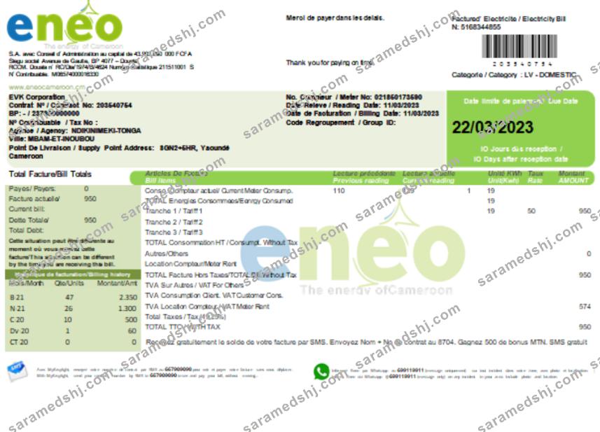 ENEO electricity utility business bill,  SCR